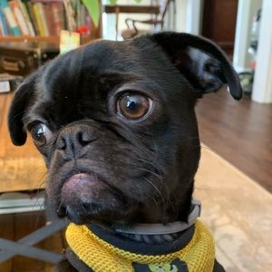 Meet your Posher, Amie